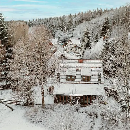 Harzchalet An Der Brockenbahn 2a 2b Holiday home